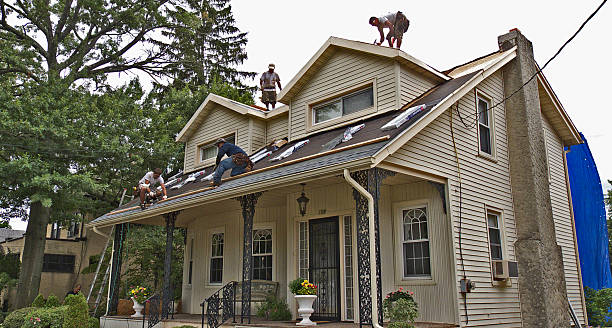 Best Roof Repair Services  in Rio Dell, CA